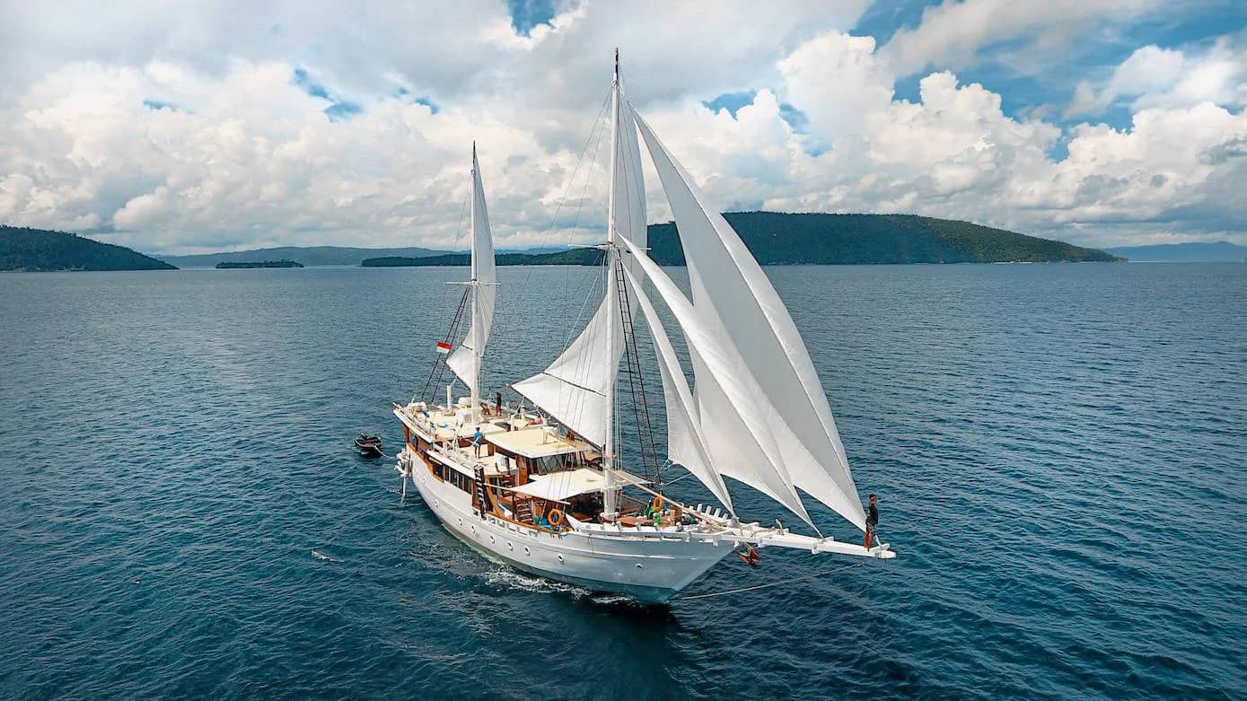 Teman - image Teman - image