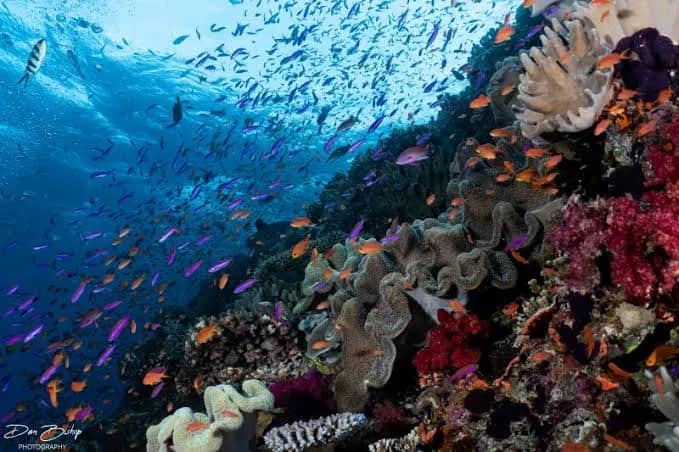 No alternative text provided No alternative text provided