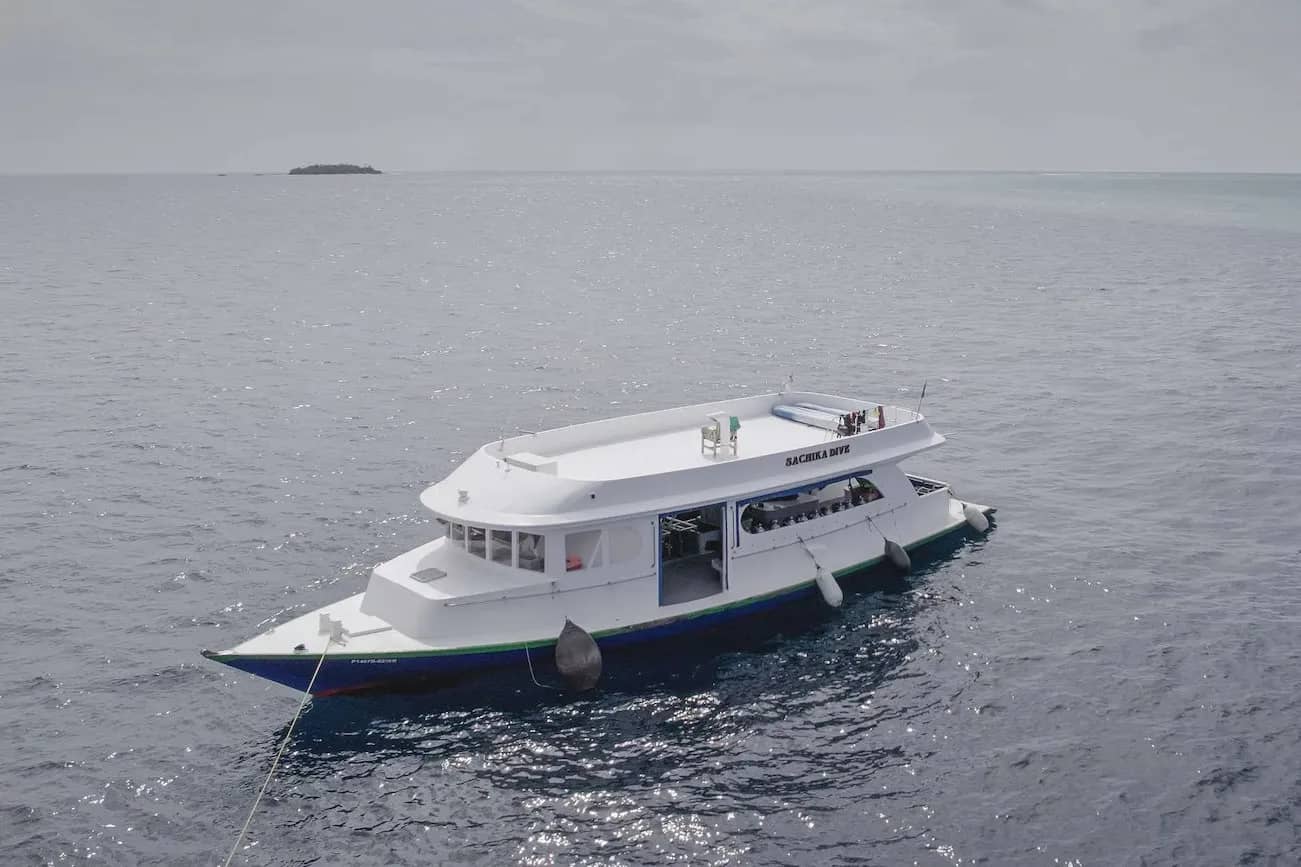 Sachika - image Sachika - image