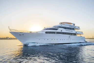 Sea Serpent Contessa Sea Serpent Contessa