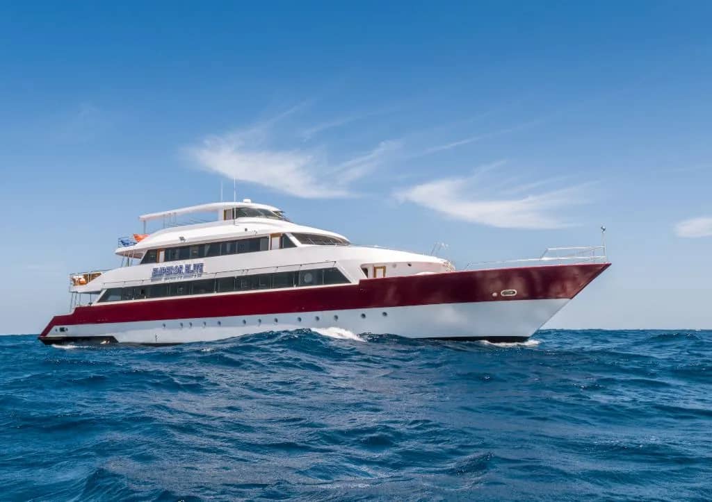 Emperor Elite - image Emperor Elite - image