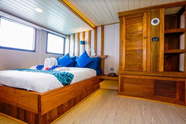 Solomons Master Solomons Master