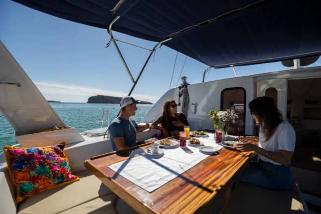 Nautilus Mango Wind Nautilus Mango Wind