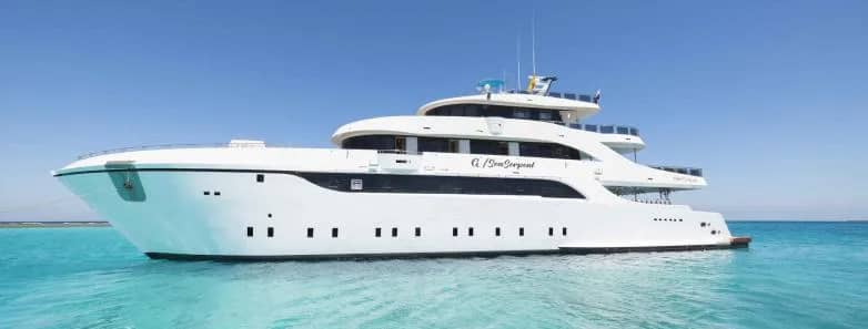 Sea Serpent Glorious Miss Nouran - image Sea Serpent Glorious Miss Nouran - image