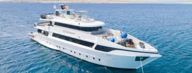 Sea Serpent Serena Dreams Sea Serpent Serena Dreams