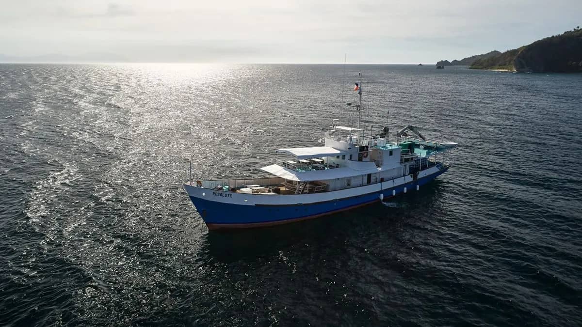 Resolute - image Resolute - image