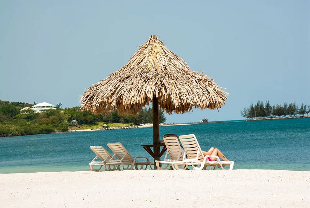 turquoise--05.jpg turquoise--05.jpg