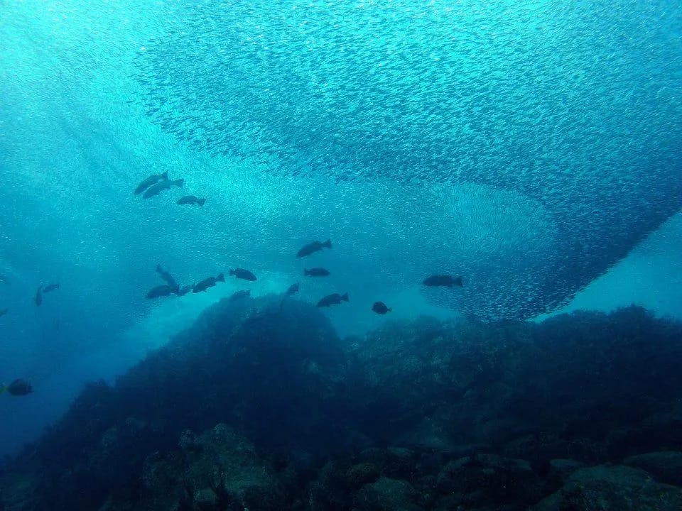 Cabo Pulmo Beach Resort - image Cabo Pulmo Beach Resort - image