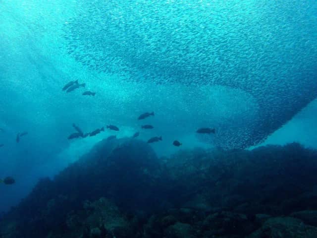 Cabo Pulmo Beach Resort Cabo Pulmo Beach Resort