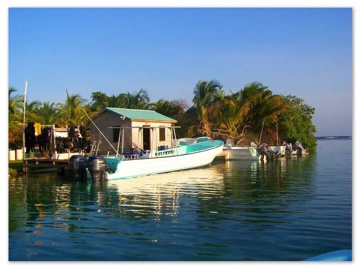 isla-marisol-dive-1.jpg isla-marisol-dive-1.jpg