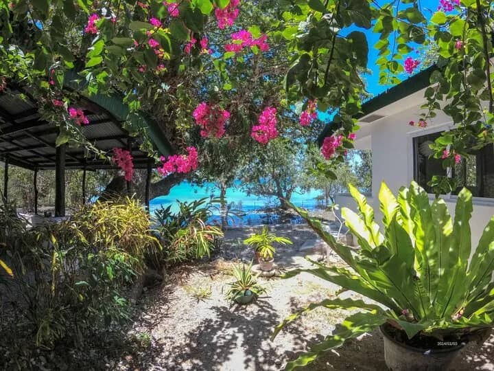 The Three P Holiday & Dive Resort and Ducks Diving Romblon The Three P Holiday & Dive Resort and Ducks Diving Romblon