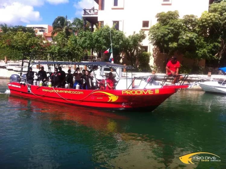 CRM-dive-2.jpeg CRM-dive-2.jpeg