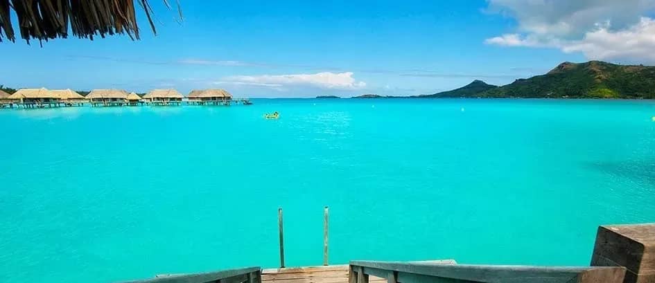 icbbt-1.jpg icbbt-1.jpg