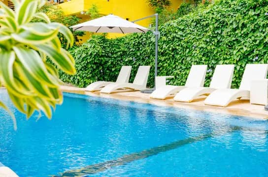 The large swimming pool with lounge chairs The large swimming pool with lounge chairs