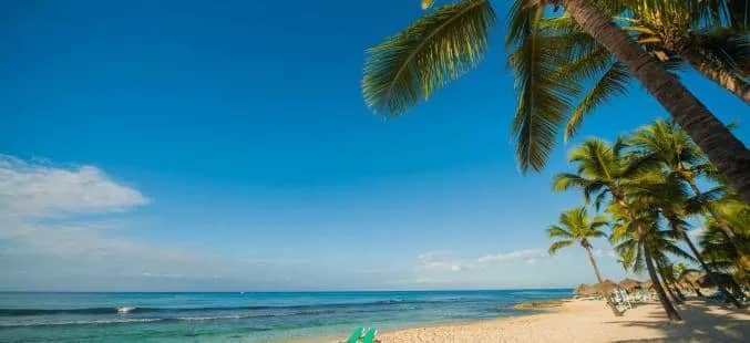 VWDB-11.jpg VWDB-11.jpg