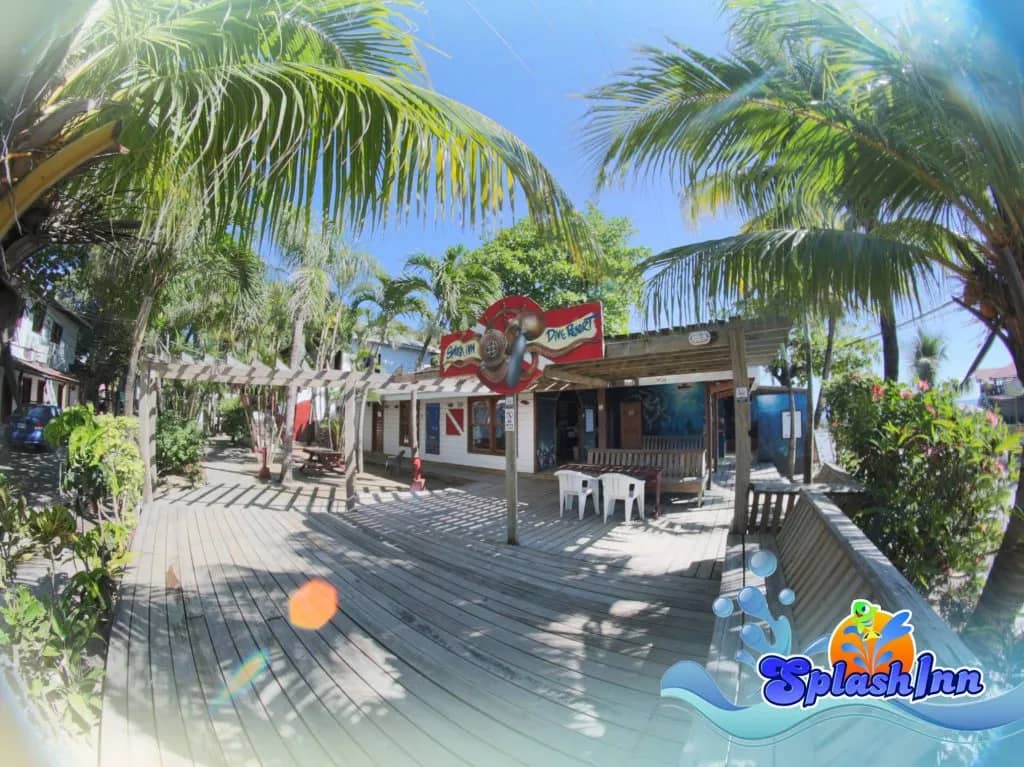 SIR-10.jpg SIR-10.jpg