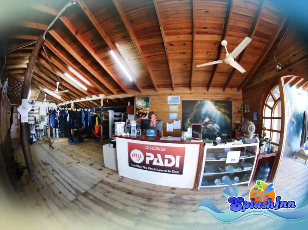 SIR-11.jpg SIR-11.jpg