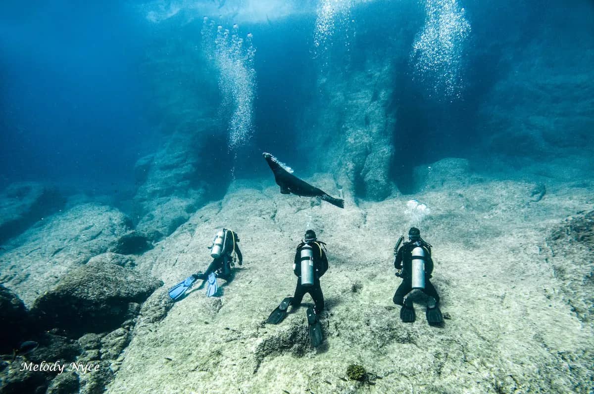 Baja California Baja California