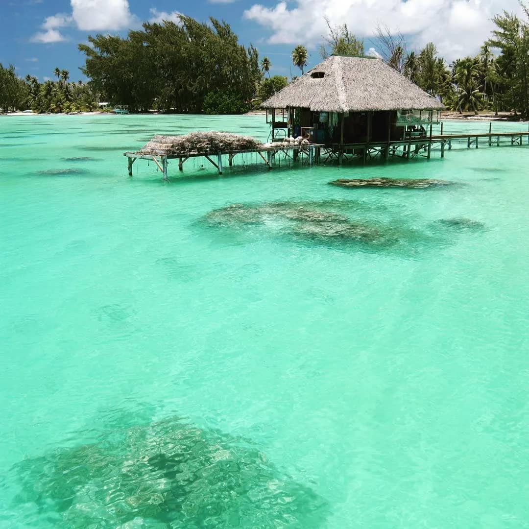 A cabana over the water at Havaiki Lodge in Fakarava. A cabana over the water at Havaiki Lodge in Fakarava.