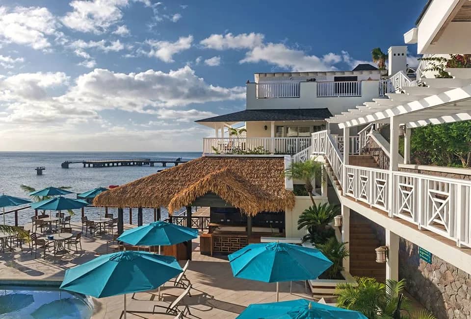 95758199_3064327570311790_3515970072294195200_o.jpg 95758199_3064327570311790_3515970072294195200_o.jpg