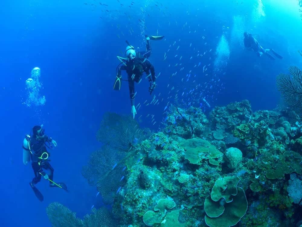 Scuba divers along a reef at Cabañas on Clark’s Cay in Honduras. Scuba divers along a reef at Cabañas on Clark’s Cay in Honduras.