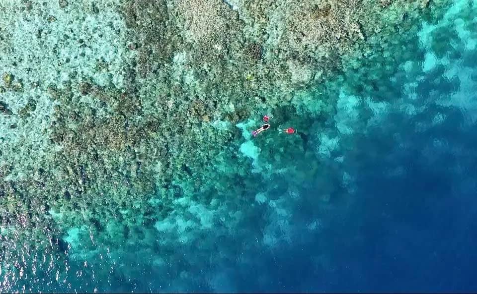 House Reef Bird Eye.jpeg House Reef Bird Eye.jpeg