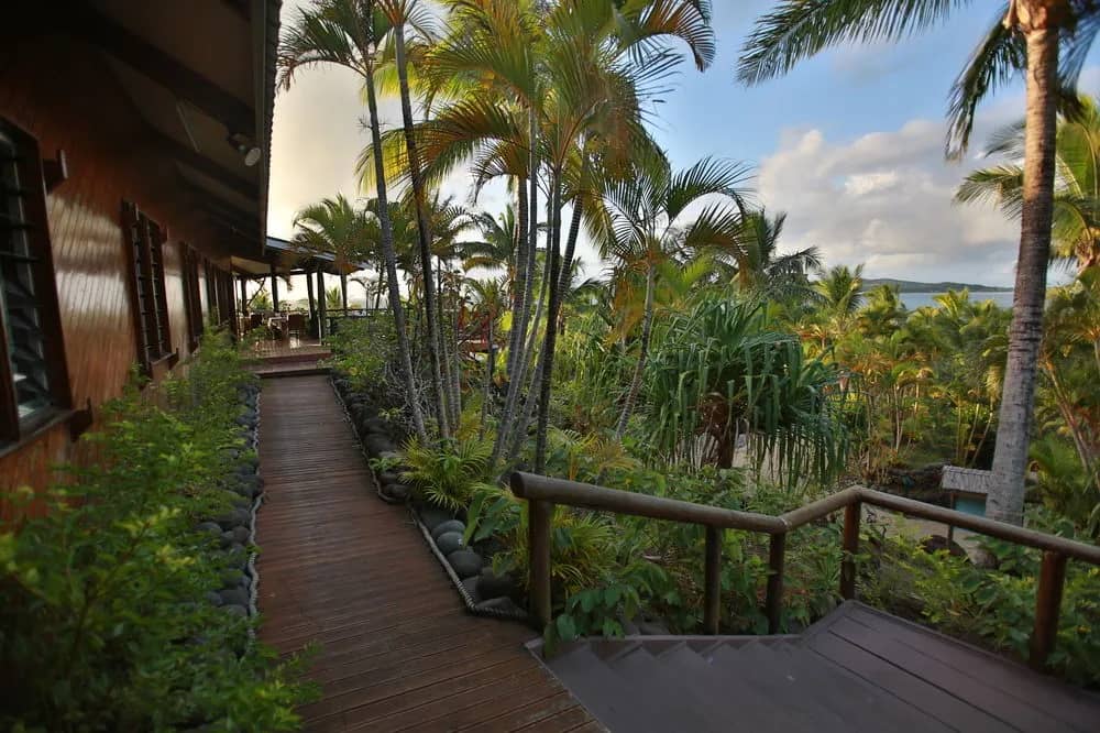 wananavu-01.jpg wananavu-01.jpg