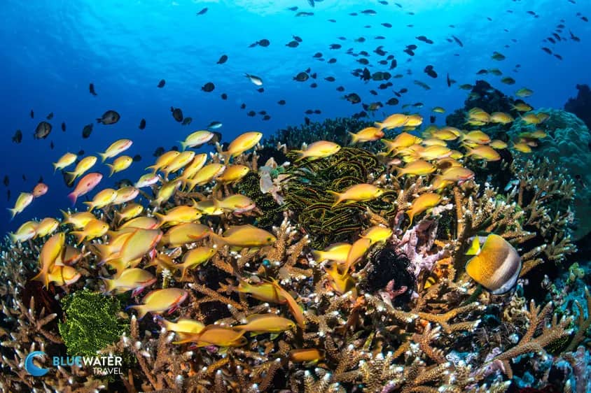 Philippines Philippines