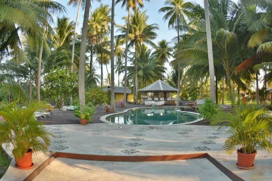 A pool surrounded by a lot of greenery A pool surrounded by a lot of greenery