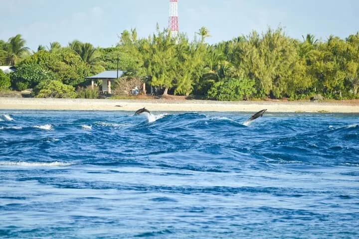 hotel-kia-ora-12-Wild-Dolphins-at-Tiputa-Pass.jpg hotel-kia-ora-12-Wild-Dolphins-at-Tiputa-Pass.jpg