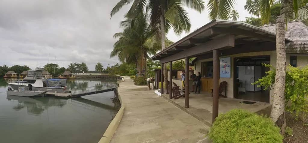 koro-sun-dive-4life-1.jpg koro-sun-dive-4life-1.jpg