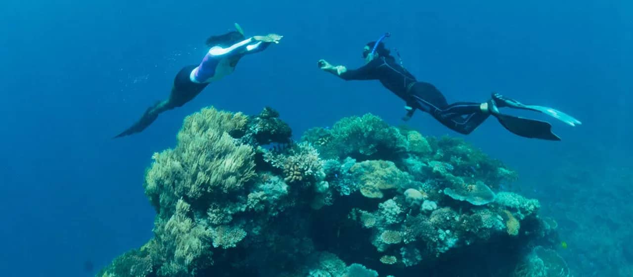 koro-sun-dive-4life-2.jpg koro-sun-dive-4life-2.jpg