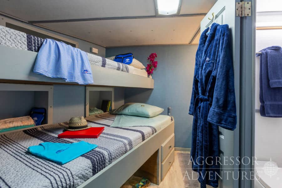 Deluxe Stateroom Lower Deck - image Deluxe Stateroom Lower Deck - image