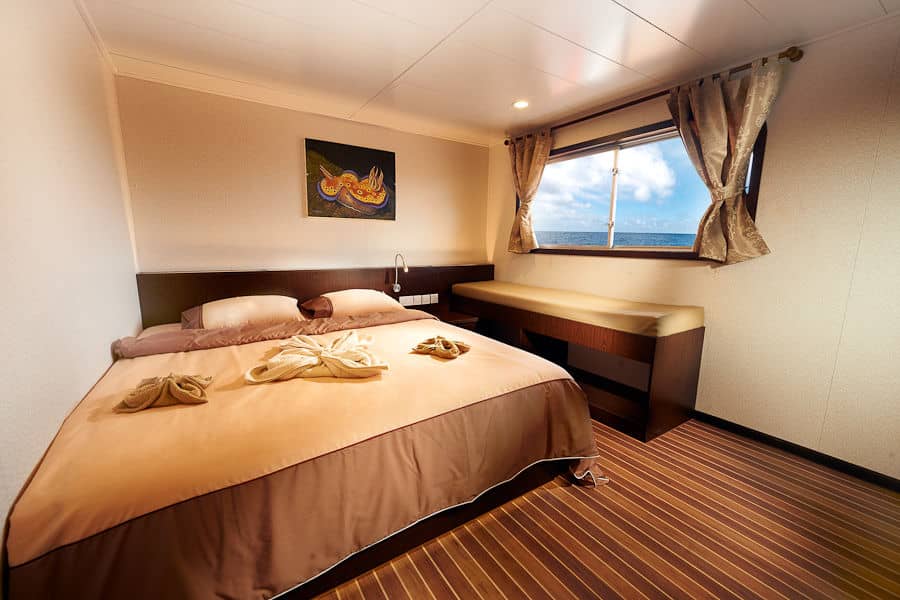 Stateroom Lower Deck - image Stateroom Lower Deck - image