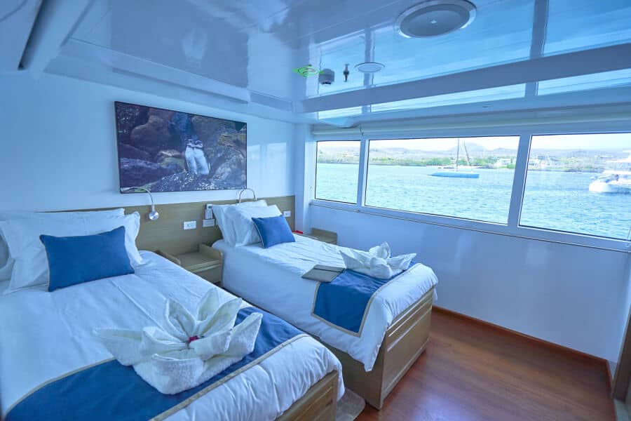 Double Main Deck - image Double Main Deck - image